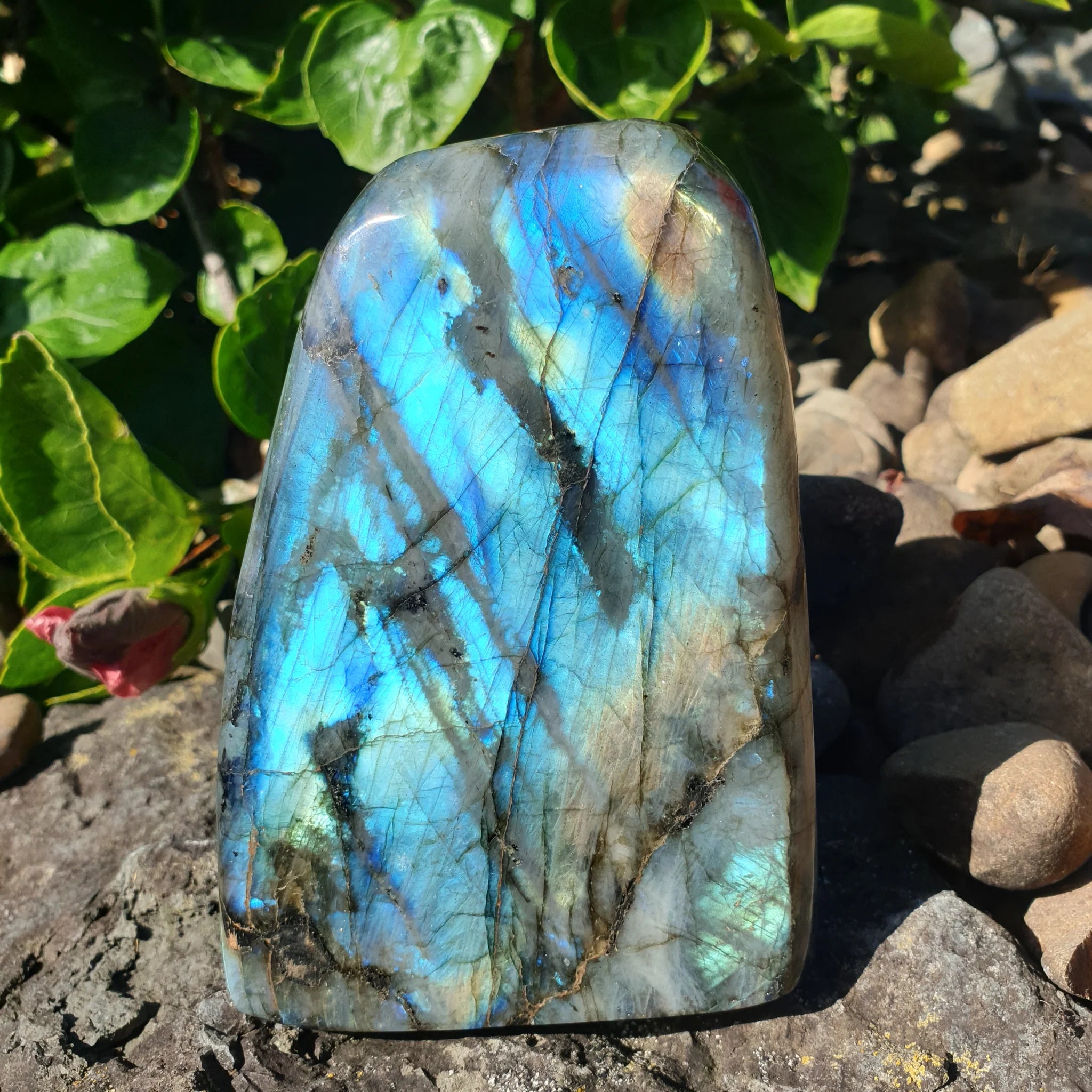 Labradorite, significato e proprietà – TENET