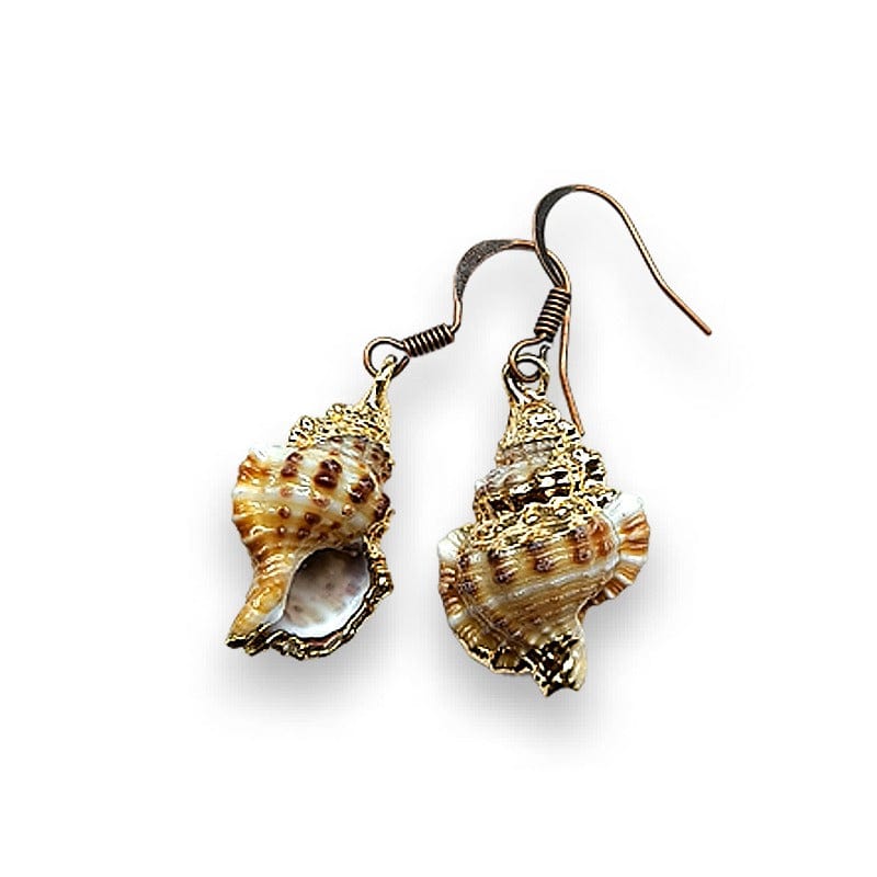 ORECCHINI MURICE - orecchini con conchiglia