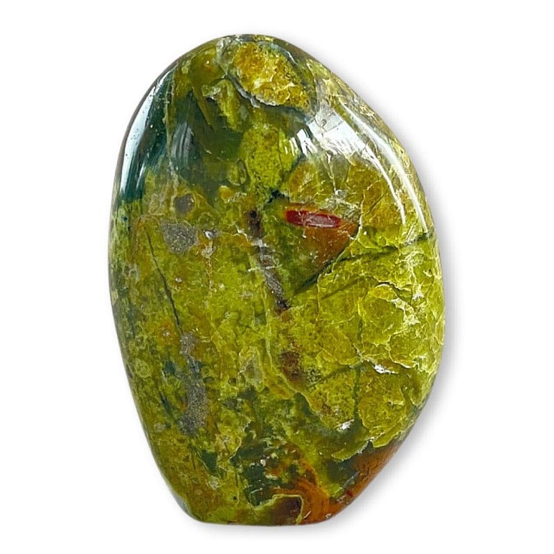 Opale Verde 10-12 cm