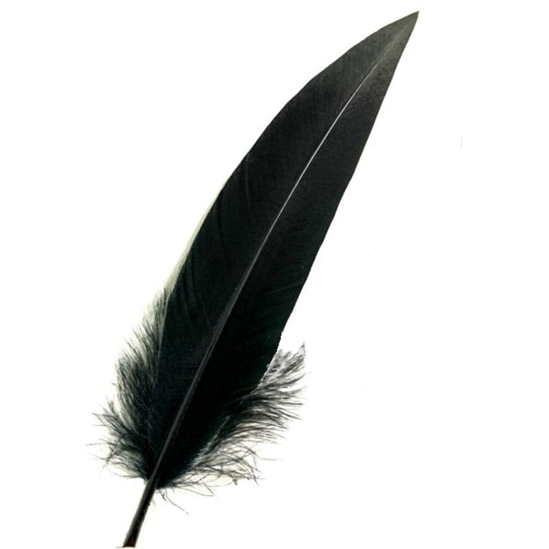 Golden Eagle Feather 35-45 cm