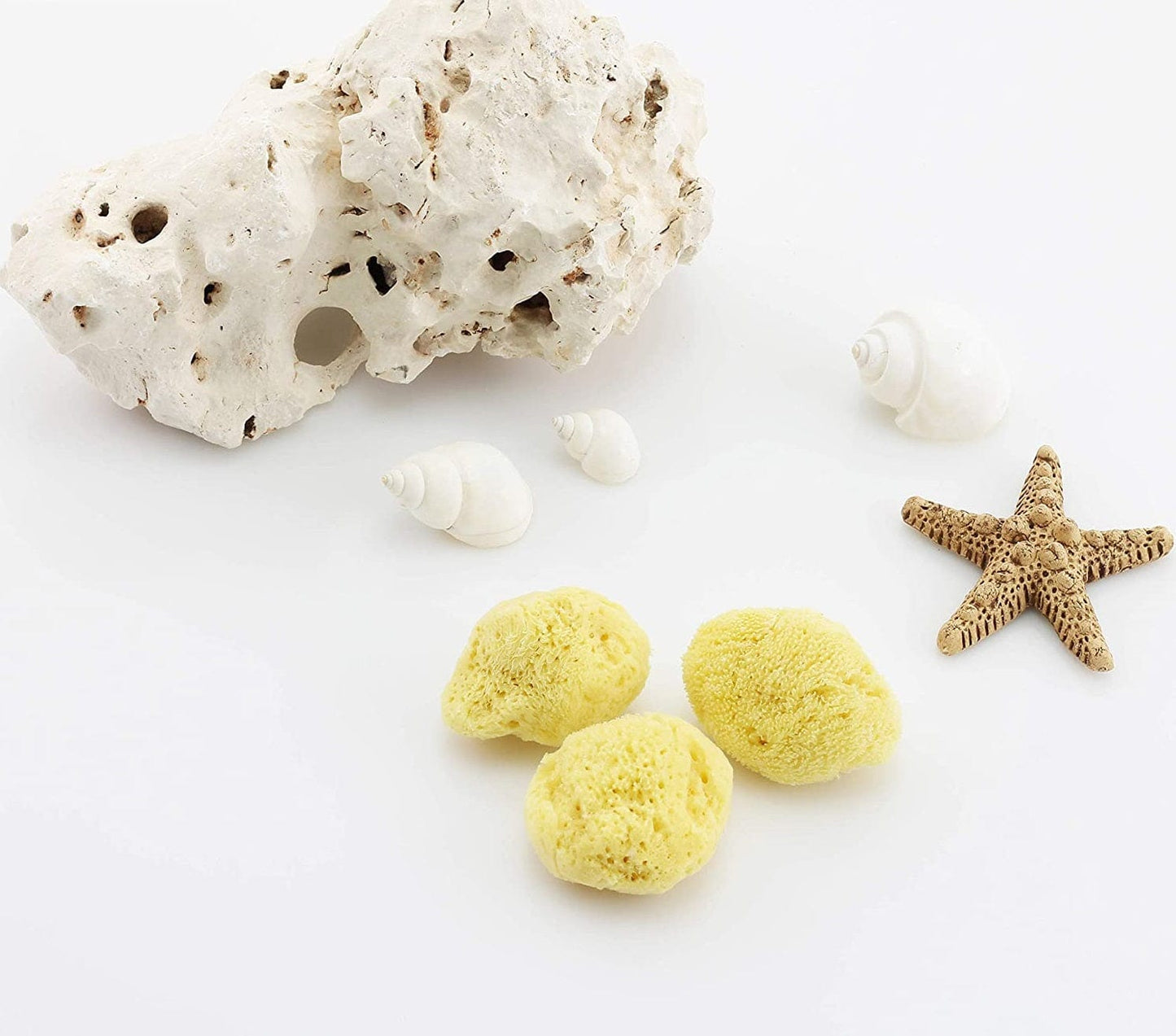 Tenetpietre Spugna di mare Naturale del Mediterraneo PER NEONATI (7 CM)