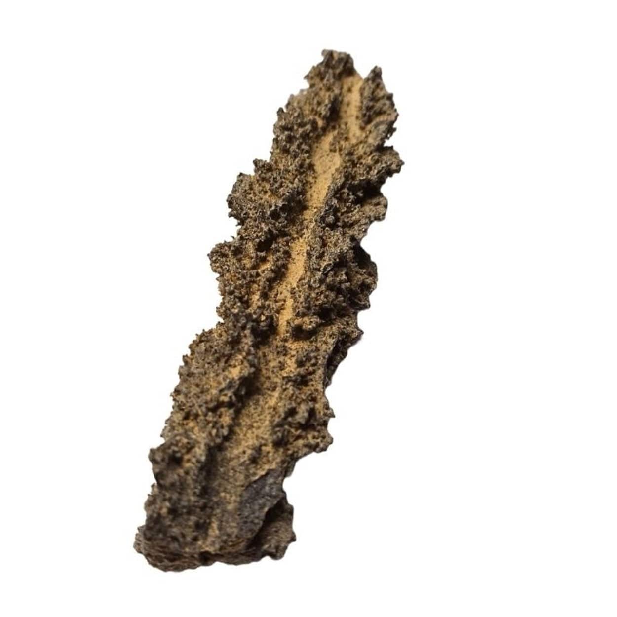 Folgorite la pietra del fulmine