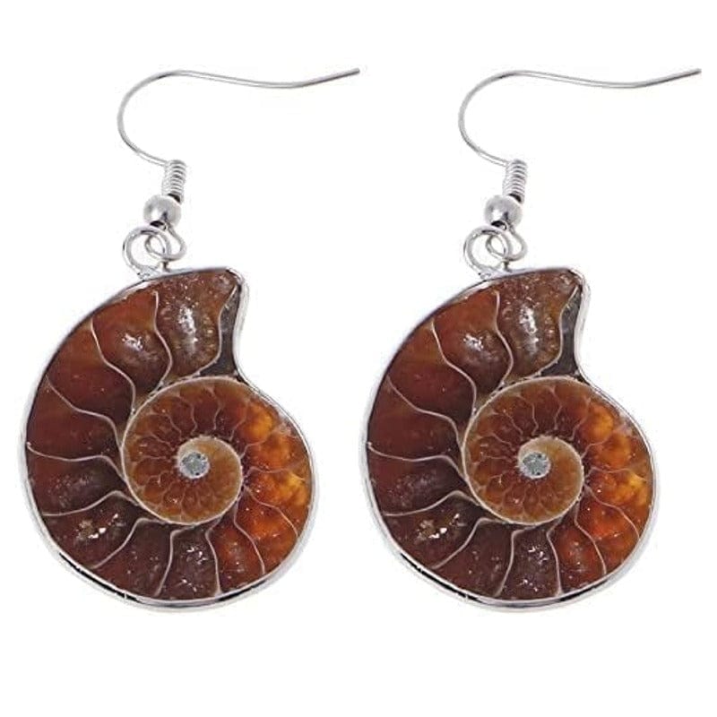 Fossil ammonite earrings 