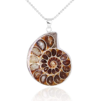 Ammonite pendant 20/30 mm with chain or rubber