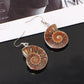 Fossil ammonite earrings 