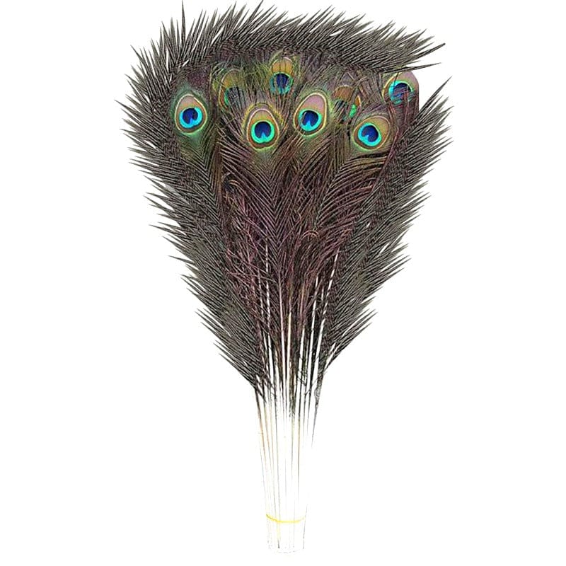 3 piezas de plumas de pavo real de 13-16 cm