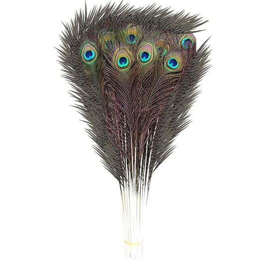 3 piezas de plumas de pavo real de 13-16 cm