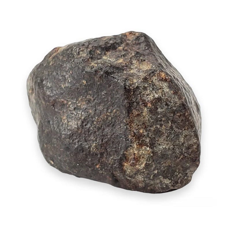 Meteorite Chondite NWA 869 Tindouf Algeria