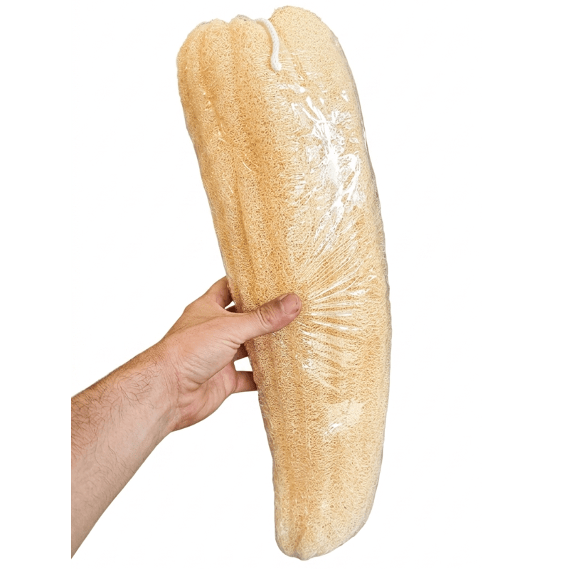 Natural Mediterranean Sea Sponge Bath Sponge (GREECE)