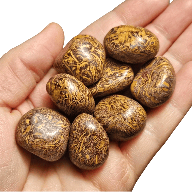 Heliotrope (Blood Jasper) tumbled