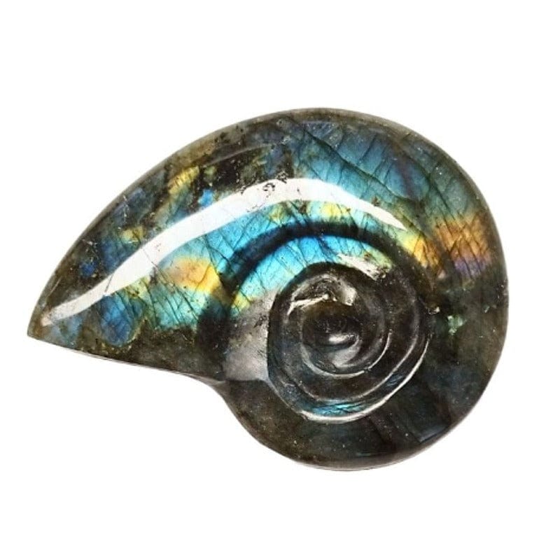 Ammonite Intagliata In Labradorite 3-4 CM