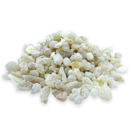 Incense in natural resin grains Oman al-Hojari Boswellia Sacra 