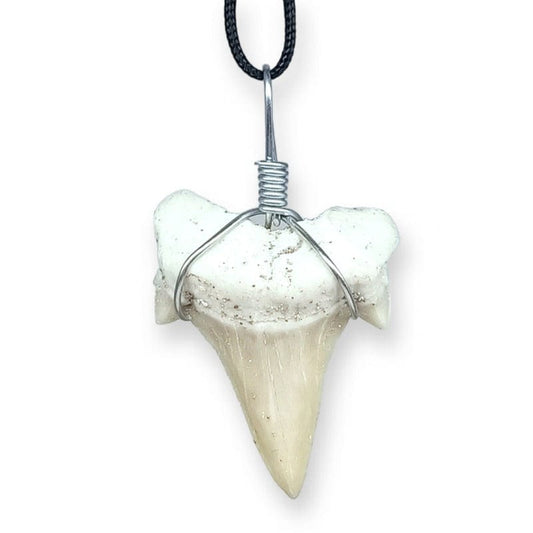 Ciondolo di dente di squalo fossile