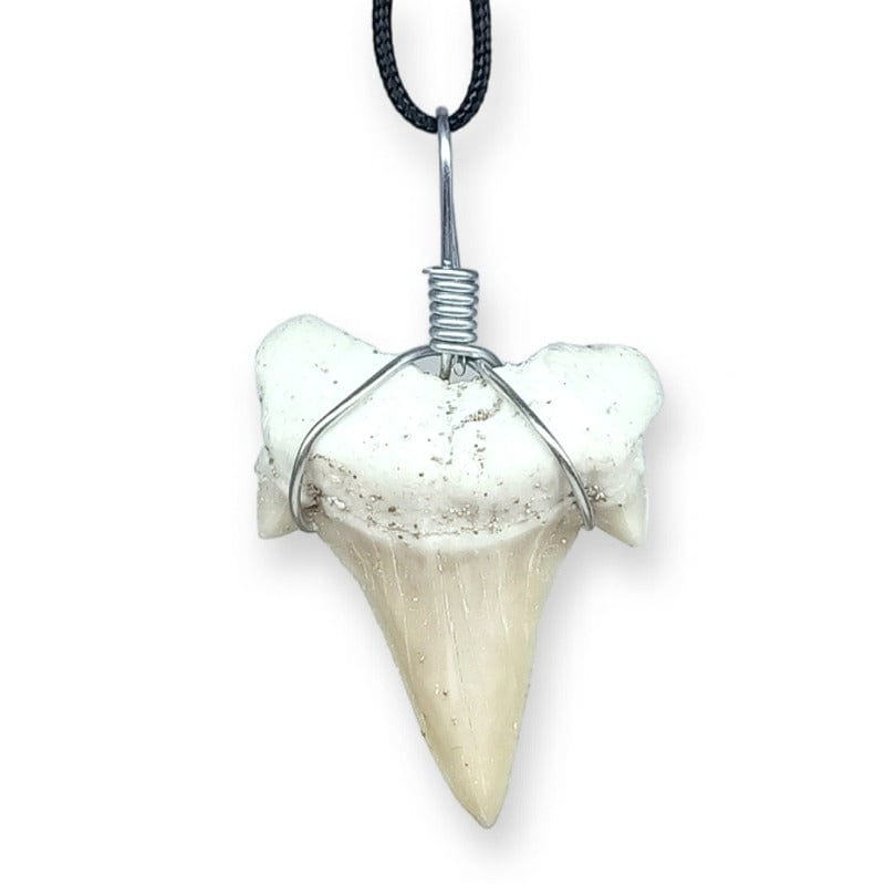 Ciondolo di dente di squalo fossile