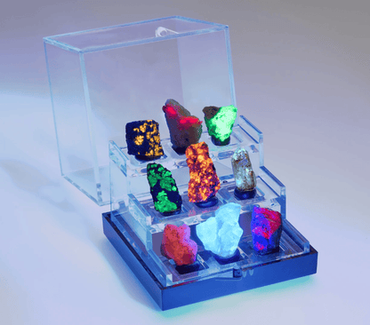 Set 9 Minerali Fosforescenti – con Vetrina Inclusa 3,5 cm