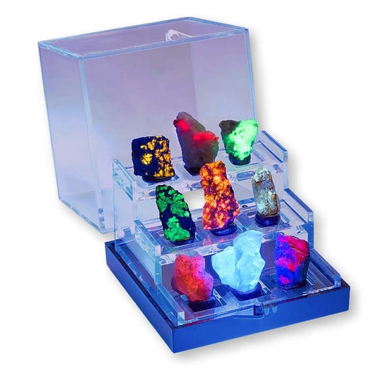 Set 9 Minerali Fosforescenti – con Vetrina Inclusa 3,5 cm
