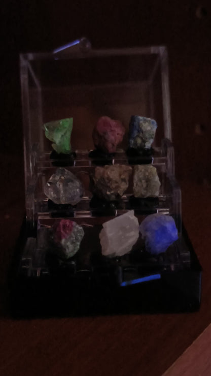 Set 9 Minerali Fosforescenti – con Vetrina Inclusa 3,5 cm