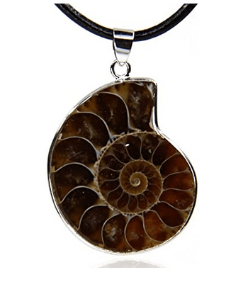 Tenetpietre Ciondolo in Ammonite da 30/40 mm con catenina o caucciù