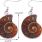 Tenetpietre Orecchini in ammonite fossile