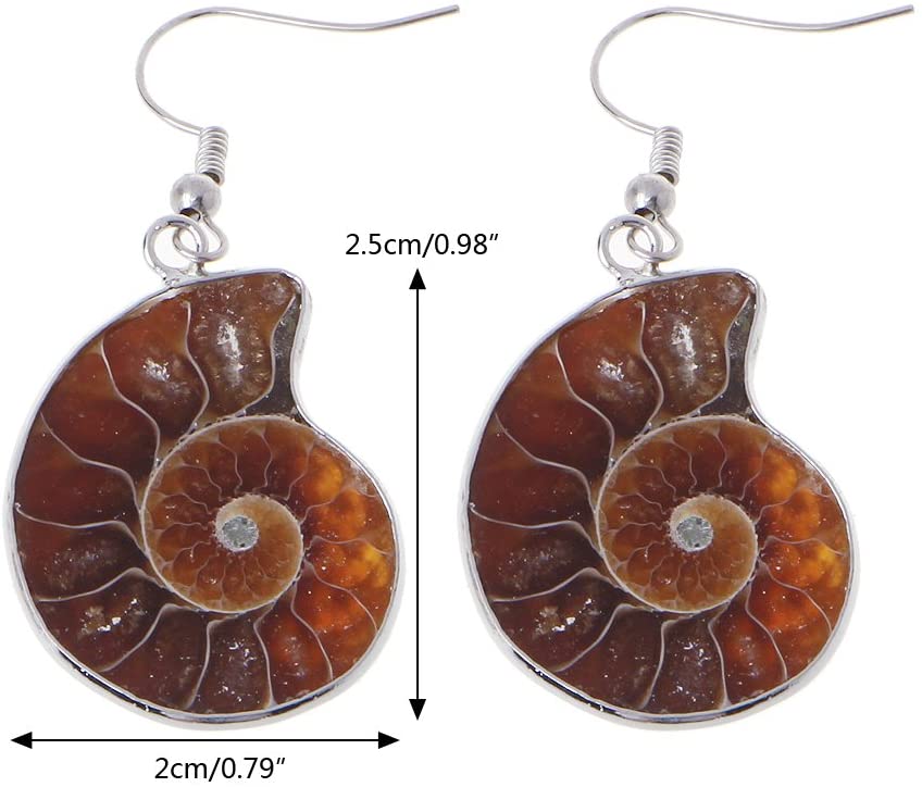 Tenetpietre Orecchini in ammonite fossile